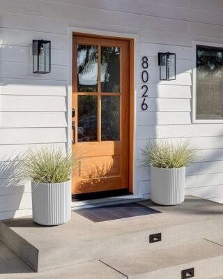 LARGE PLANTER AMAZON